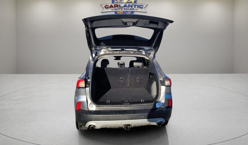 
2021 Ford Escape Hybrid Titanium full									