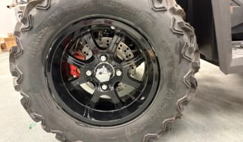 2025 AODES PATHCROSS 1000-S full