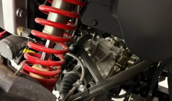 2025 AODES PATHCROSS 1000-S full