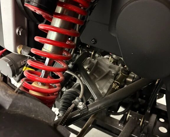 2025 AODES PATHCROSS 1000-S full