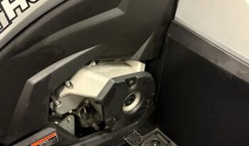 2025 AODES PATHCROSS 1000-S full