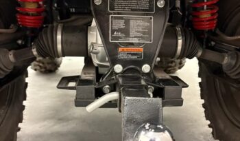 2025 AODES PATHCROSS 1000-S full