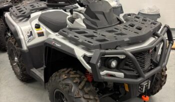 2025 AODES PATHCROSS 1000-S full