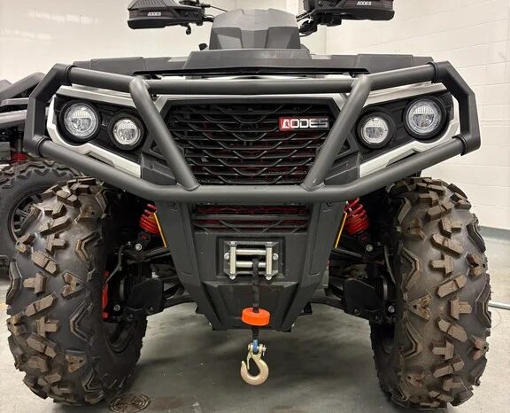2025 AODES PATHCROSS 1000-S full