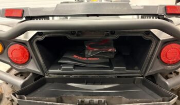 2025 AODES PATHCROSS 1000-S full