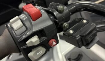 2025 AODES PATHCROSS 1000-S full