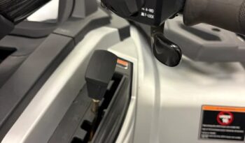 2025 AODES PATHCROSS 1000-S full