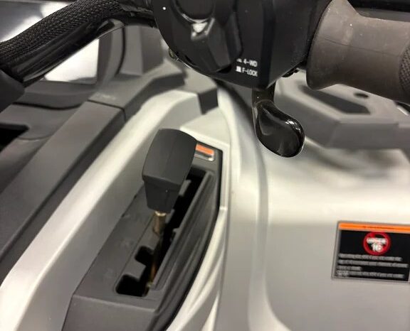 2025 AODES PATHCROSS 1000-S full