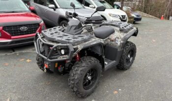 2025 AODES PATHCROSS 1000-S full