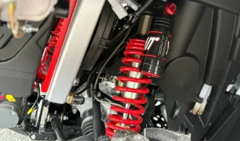 2025 AODES PATHCROSS 1000-S full