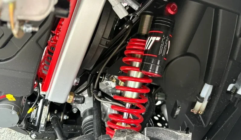 2025 AODES PATHCROSS 1000-S full