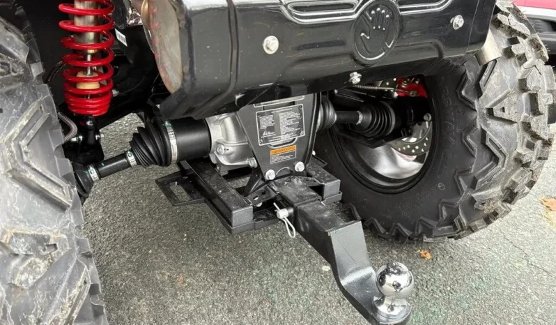 2025 AODES PATHCROSS 1000-S full