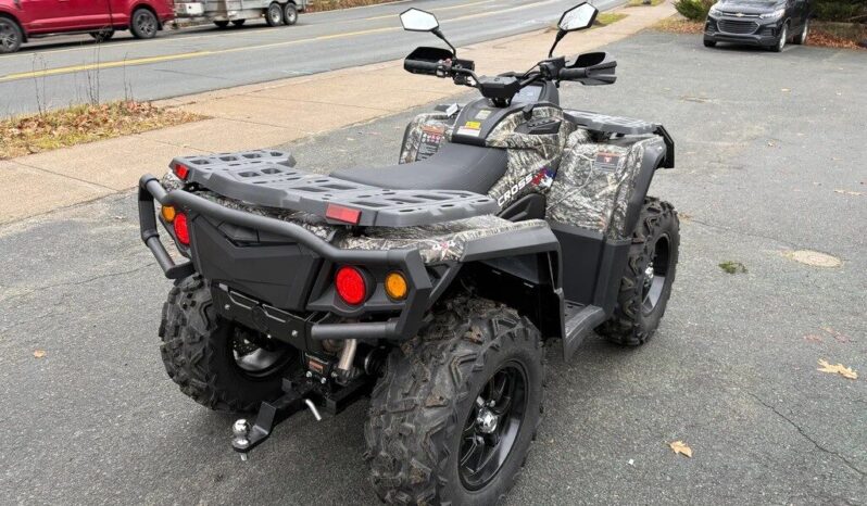 2025 AODES PATHCROSS 1000-S full