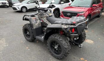 2025 AODES PATHCROSS 1000-S full