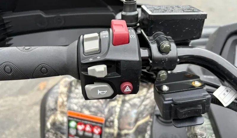 2025 AODES PATHCROSS 1000-S full