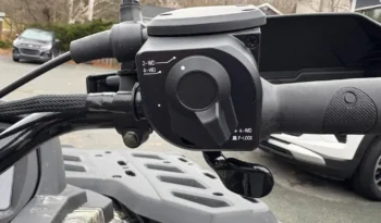 2025 AODES PATHCROSS 1000-S full