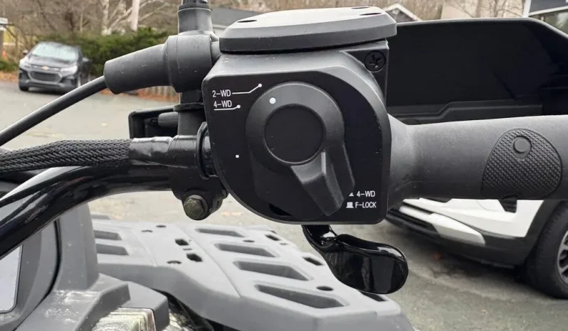 2025 AODES PATHCROSS 1000-S full