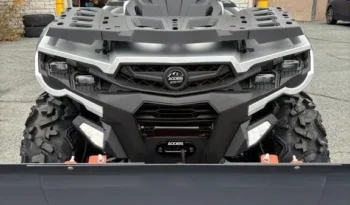 2025 AODES PATHCROSS 650 L full