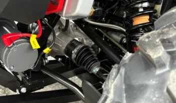 2025 AODES PATHCROSS 650 L full