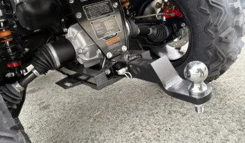 2025 AODES PATHCROSS 650 L full