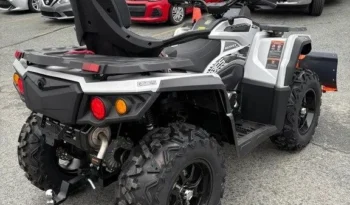 2025 AODES PATHCROSS 650 L full