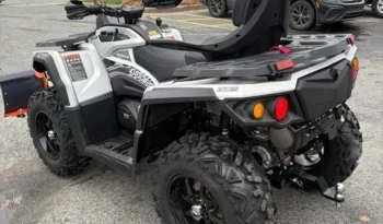 2025 AODES PATHCROSS 650 L full