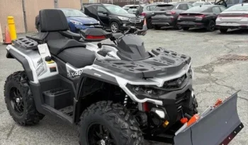 2025 AODES PATHCROSS 650 L full