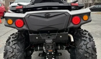 2025 AODES PATHCROSS 650 L full