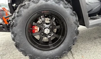 2025 AODES PATHCROSS 650 L full