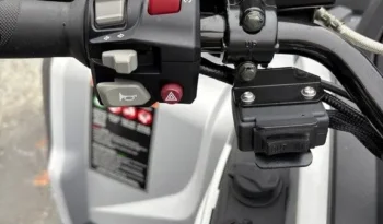 2025 AODES PATHCROSS 650 L full