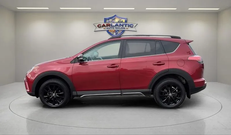 
2018 Toyota RAV4 AWD XLE full									