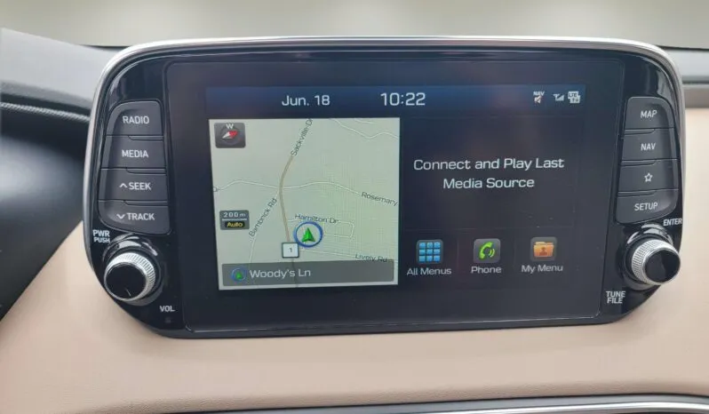 
2020 Hyundai Sante Fe Ultimate full									
