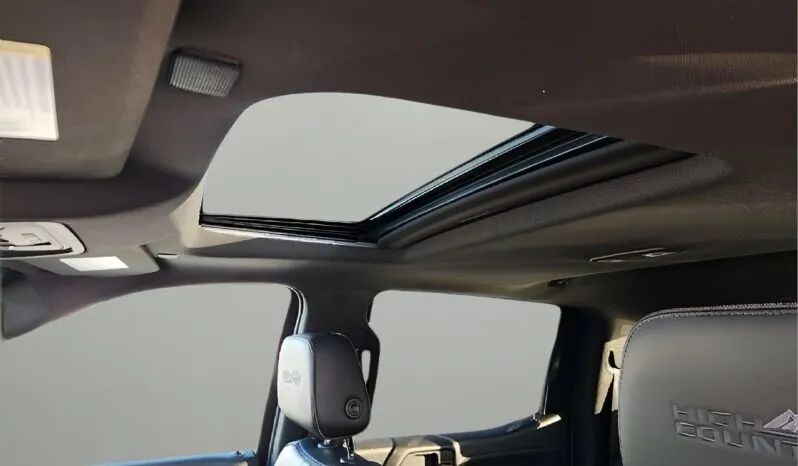 
2019 Chevrolet Silverado 1500 High Country full									